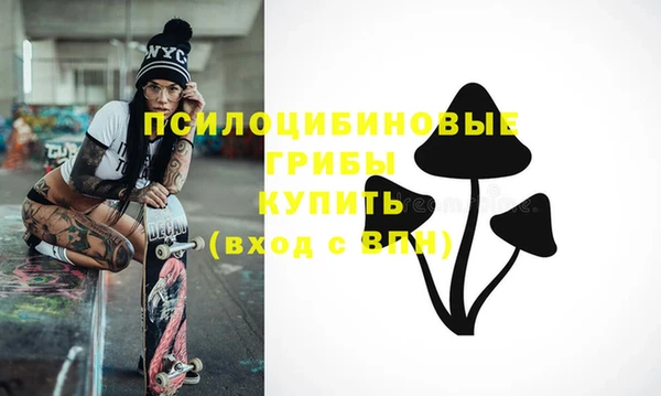 ешки Новозыбков