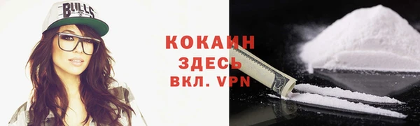 ешки Новозыбков