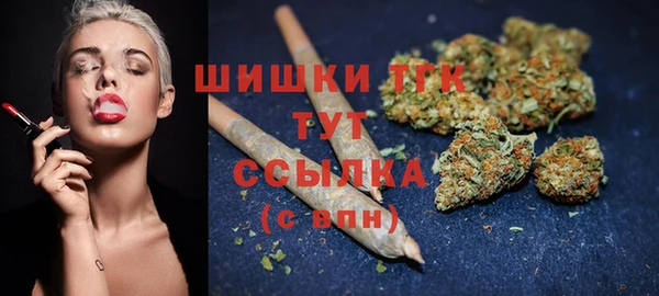 ешки Новозыбков