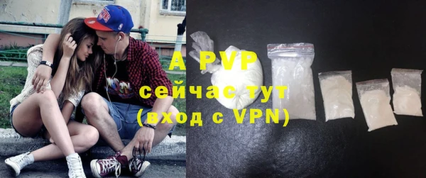 ешки Новозыбков